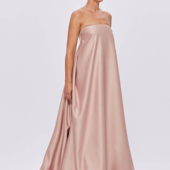 Blush gown - Picture 1 of 6